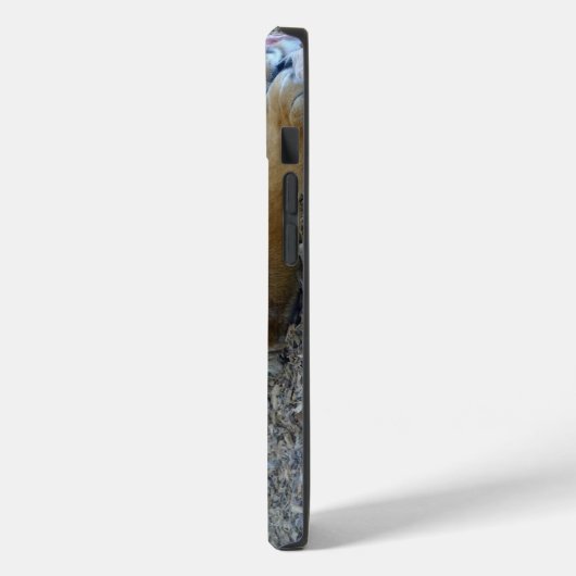 iPhone Tiger's Gaze / coque ipad (Verso / Gauche)