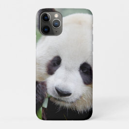 iPhonezaak Foto reus panda, dieren. iPhone 11 Pro Hoesje