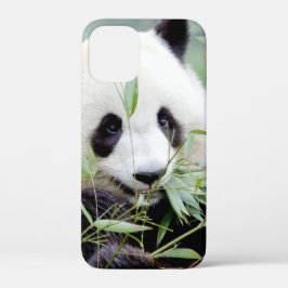 iPhonezaak Foto reus panda, dieren. iPhone 12 Mini Hoesje