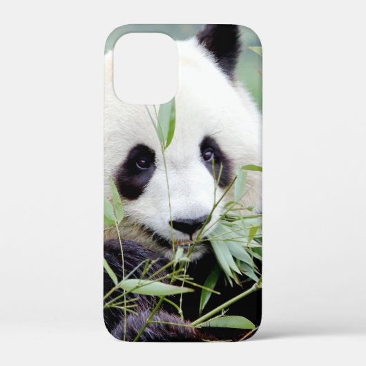 iPhonezaak Foto reus panda, dieren. Case-Mate iPhone Case (Achterkant)