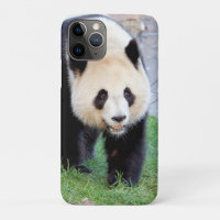 iPhonezaak Foto reus panda, dieren.