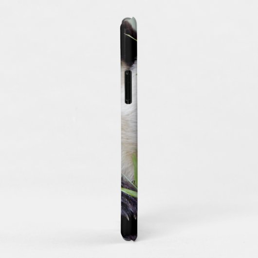 iPhonezaak Foto reus panda, dieren. Case-Mate iPhone Case (Achterkant/rechts)