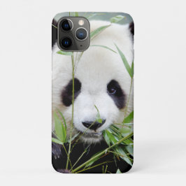 iPhonezaak Foto reus panda, dieren. iPhone 11 Pro Hoesje
