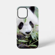iPhonezaak Foto reus panda, dieren.
