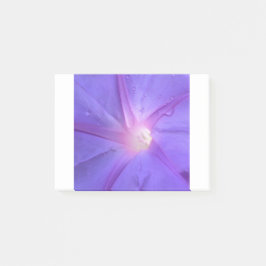 ipomée post-it® notes