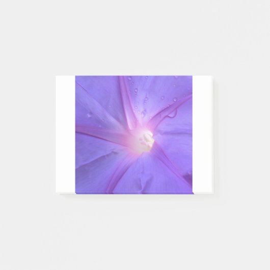 ipomée post-it® notes (Voorkant)