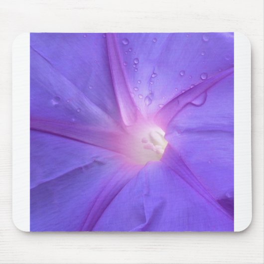 ipomeus muismat (Voorkant)