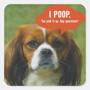 iPoop Spaniel Vierkante Sticker