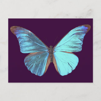 Iridescent Blue Butterfly Briefkaart