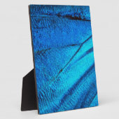 Iridescent Blue Butterfly Wing Fotoplaat (Zijkant)