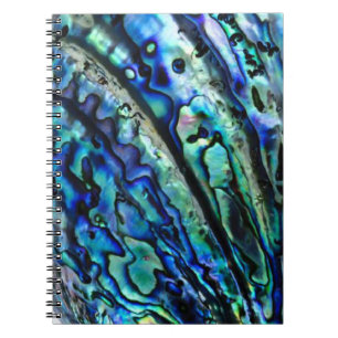 Iridescent Paua Abalone Shell Notitieboek