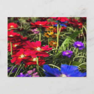 Iridescent Spring Briefkaart