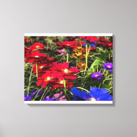 Iridescent Spring Canvas afdrukken (Voorkant)