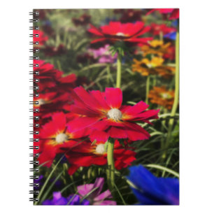 Iridescent Spring Notitieboek