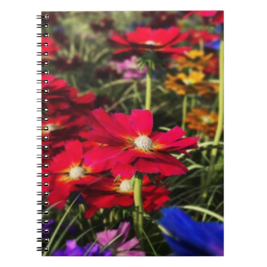 Iridescent Spring Notitieboek (Voorkant)