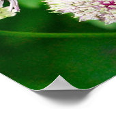 Iridescent Wasp op bloemen dicht Poster (Hoek)