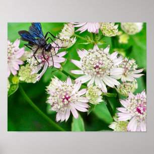 Iridescent Wasp op bloemen dicht Poster