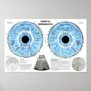 Iridiagnose Iridologie Oogkaart Poster
