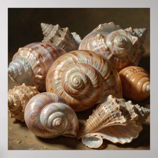 Iridiscerende schelp stilleven  poster (Voorkant)