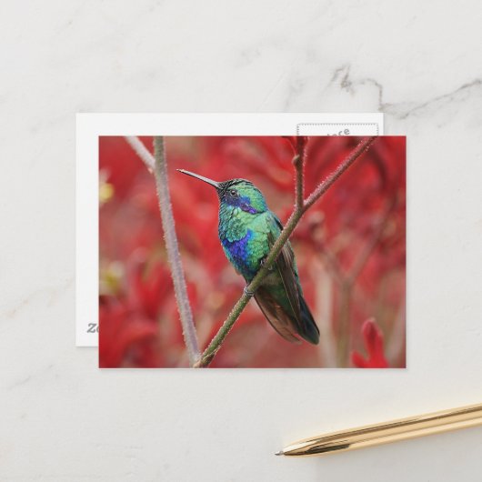 Iridiserende glans briefkaart (Voorkant / Achterkant in situ)