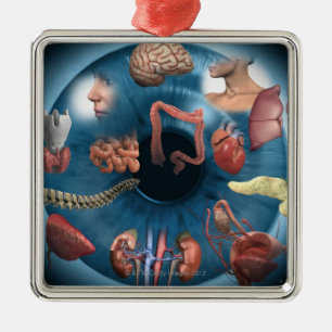 Iridologie Metalen Ornament