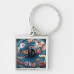 Iridologie Sleutelhanger