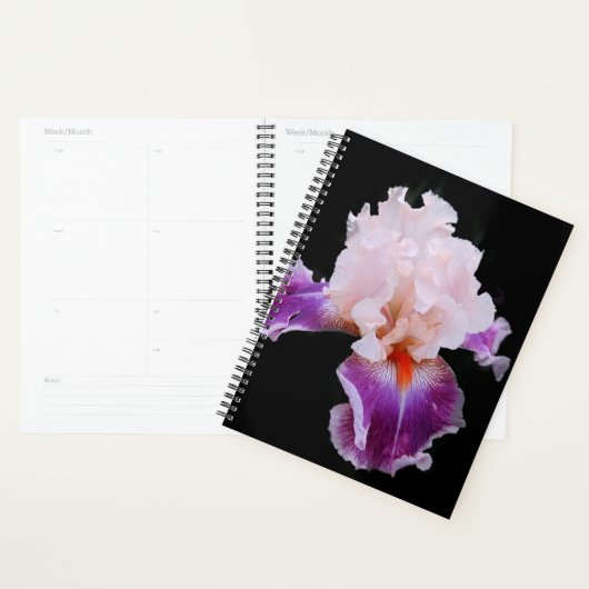 Iris (Devant avec enveloppe)