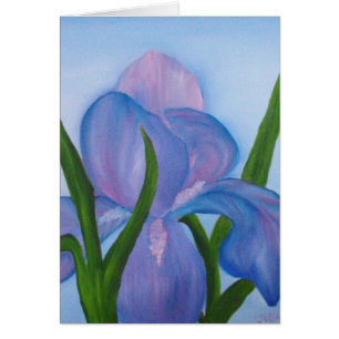 Iris
