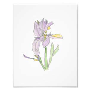 Iris-afdruk Foto Afdruk