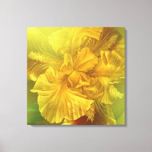 Iris beauté intérieure (jaune chaud) toile carré (Recto)