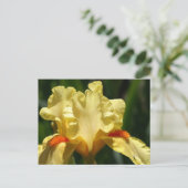 Iris Beauty Briefkaart (Staand voorkant)