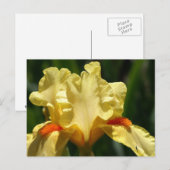 Iris Beauty Briefkaart (Voorkant / Achterkant)