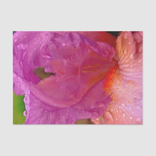 Iris Beauty-Tissue Wrapping Paper Tissuepapier (Voorkant)