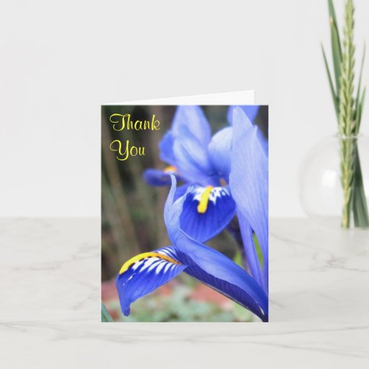 iris bedankkaart (Voorkant)