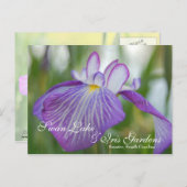 Iris bij het meer Swan, Sumter SC Briefkaart (Voorkant / Achterkant)