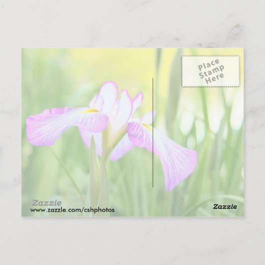 Iris bij het meer Swan, Sumter SC Briefkaart (Achterkant)