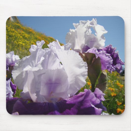 Iris blancs Iris fleurs violet tapis de souris Côt (Devant)