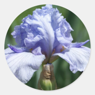 Iris-blauw Ronde Sticker
