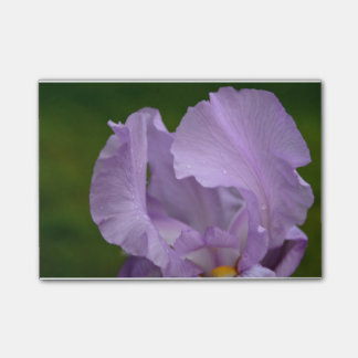Iris Bliss Post-it® Notes