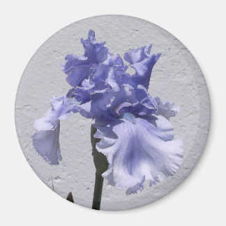Iris Bloei Magneet