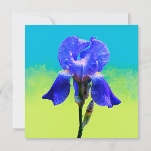 Iris bloem