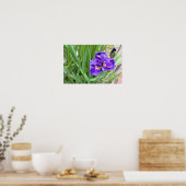 Iris Bloem Foto Poster (Keuken)