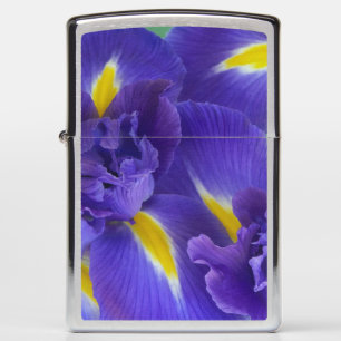 Iris bloemen