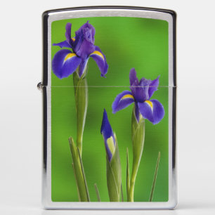 Iris Bloemen