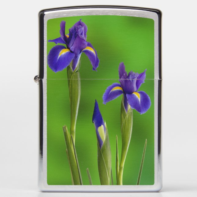 Iris Bloemen (Voorkant)