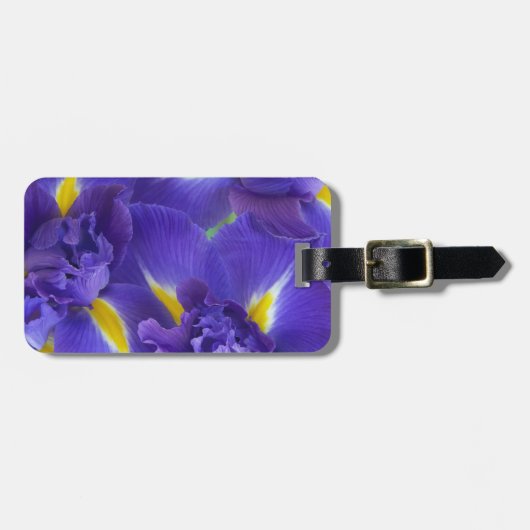 Iris bloemen bagagelabel (Voorkant horizontaal)