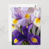 Iris bloemen briefkaart (Voorkant / Achterkant)