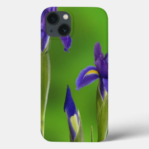 Iris Bloemen iPhone 13 Hoesje