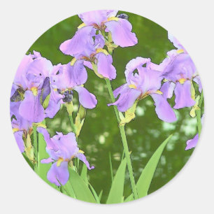 Iris bloemen ronde sticker