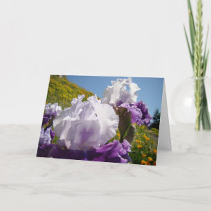 Iris Bloemen wenskaarten Paarse Iris Bloemen Kaart